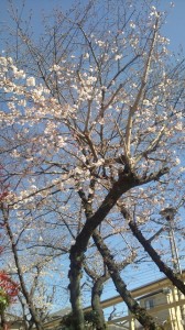 20110404143139.jpg